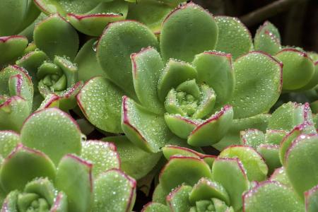 ¶Å½ÈÎÎÄÂò¿¸±²¿³¤ Å£Ò»±øÈιú¼ÒÍøÐŰ츱Ö÷ÈÎ